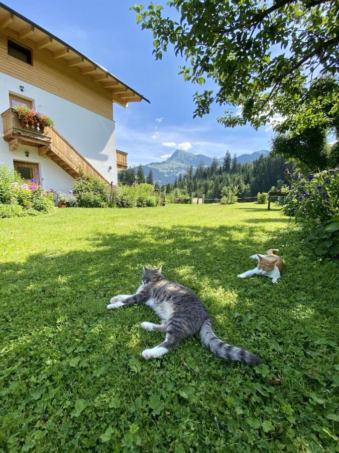Landhaus Barbara Kitzbuhel Luaran gambar