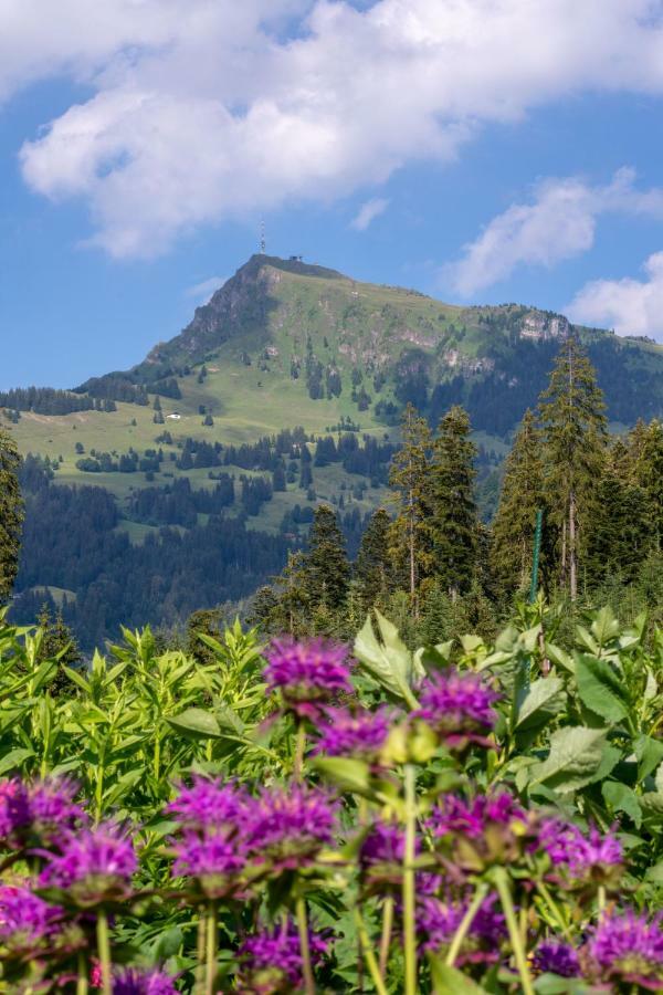 Landhaus Barbara Kitzbuhel Luaran gambar